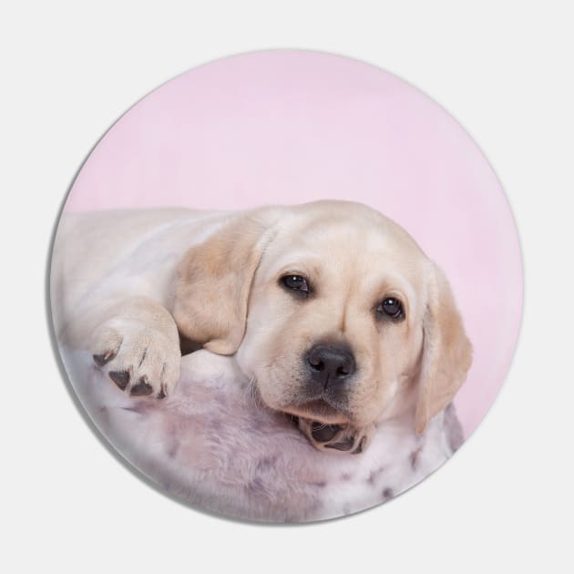 Pink Lab Pin by PetsArt