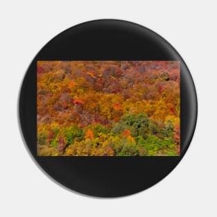 Colorful autumnal landscape Pin