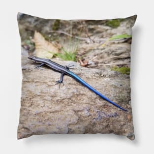 Reptilian Catching Rays Pillow