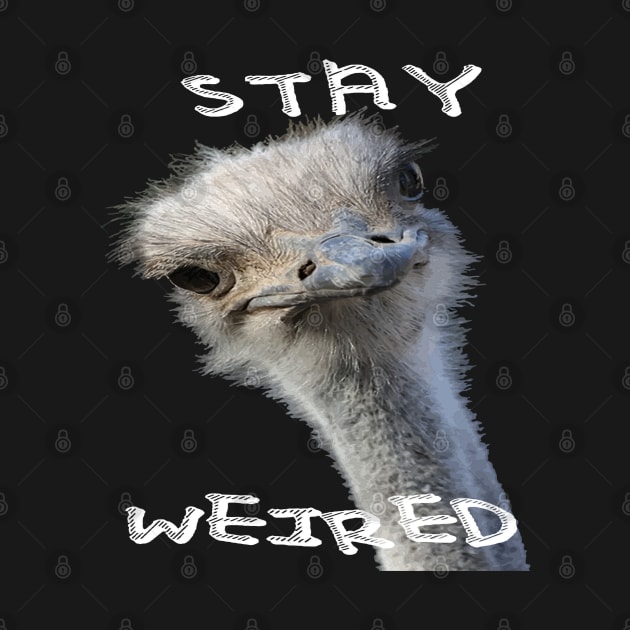 Stay Weird Strange Ostrich Bird by taiche