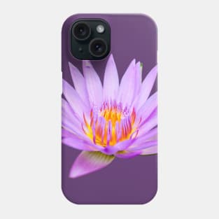 Beautiful Purple Pink Water Lily Nymphaeaceae Flower Plant Nature Photography Phone Case