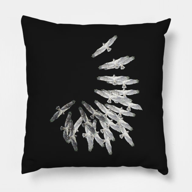 On the wings of an eagle - Drawing by Avril Thomas - Adelaide / South Australia Artist Pillow by AvrilThomasart