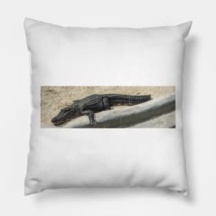 Chilling Alligator Pillow