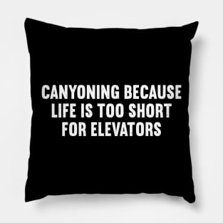 Canyoning Because Life is Too Short for Elevators Pillow