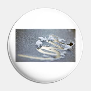 Frosted Love Pin