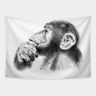 Monkey Tapestry