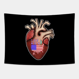 I love Merica,human heart anatomy,I love my country Tapestry