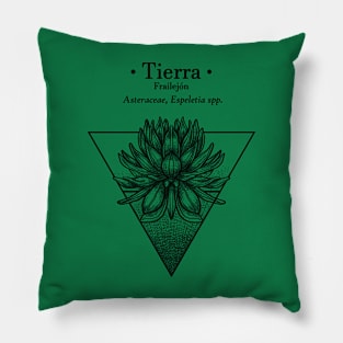 Frailejon Pillow