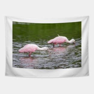 Pink Roseate Spoonbills Feeding Tapestry