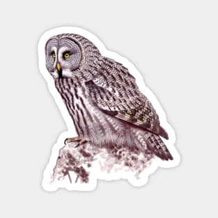 Great Grey Owl Magnet