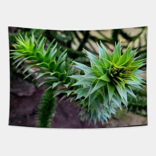 Monkey Puzzle Tree Tapestry