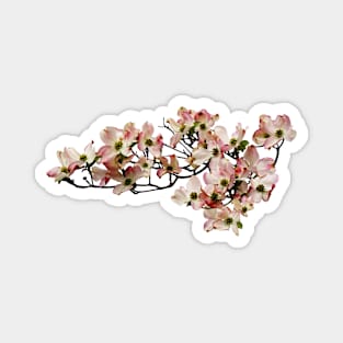 Pink Dogwood Branch Magnet