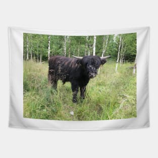 Scottish Highland Cattle Bull 1458 Tapestry