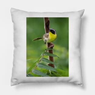 Common Yellowthroat Pillow