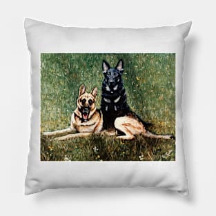 TWO ALSAITIONS Pillow