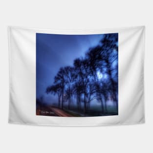 Shadows And Tall Trees Tapestry