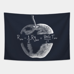 Einstein's Equation of Cosmology Tapestry