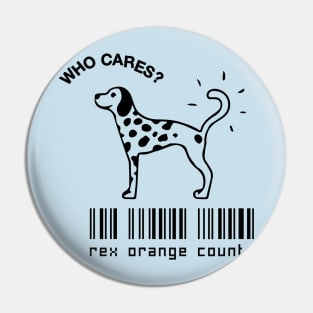 rex orange county who cares scan Pin