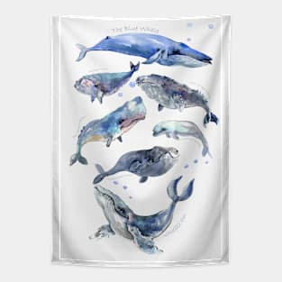 Whale çollection Tapestry