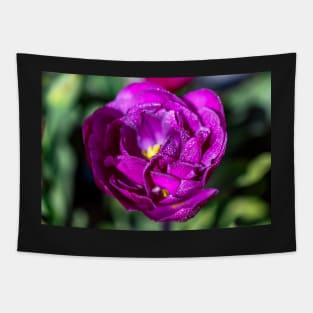 Double Purple Tulip Tapestry