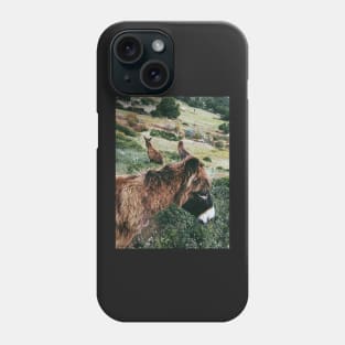 Wild Donkeys Duo Phone Case