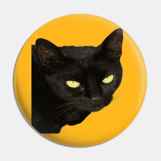 Black Cat With Beautiful Yellow Eyes Vector Art Cut Out Pin