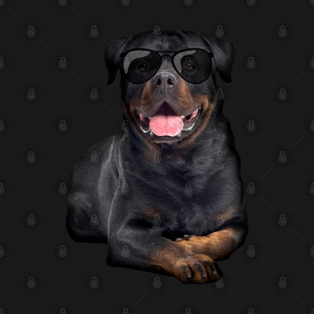 Rottweiler  - Metzgerhund by Nartissima