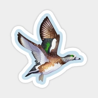 Cozy Wigeon Magnet