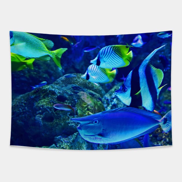 Ocean Life Tapestry by NewburyBoutique