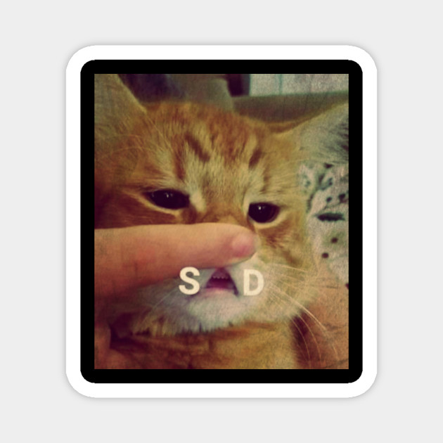 Sad Cat Sad Cat Aimant Teepublic Fr Free for commercial use no attribution required high quality images. sad cat