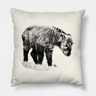 Baby takin Pillow