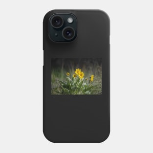 Arrowleaf Balsamroot Phone Case