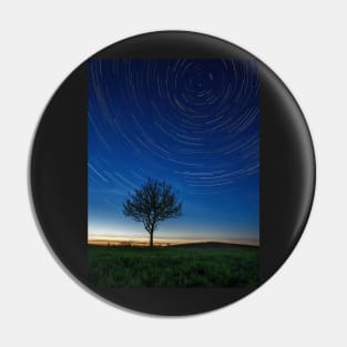 Lonely tree under stars emerging from the twilight glare Pin