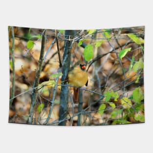 Female Northern Cardinal In The Bushes Tapestry