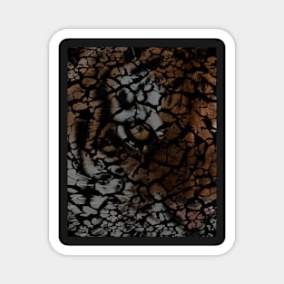 Earth Texture Tiger Shades Magnet