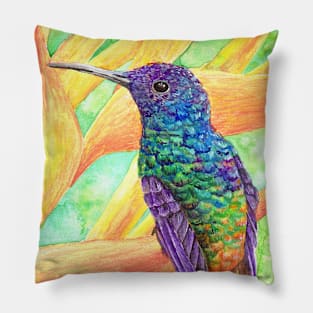 Colorful Hummingbird Watercolor Pillow