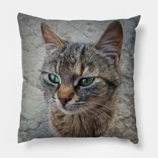 marvelous green eyes Pillow