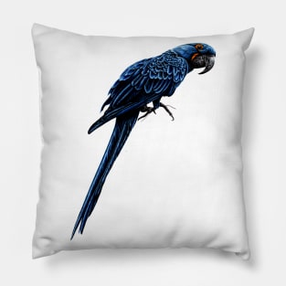 Hyacinth macaw Pillow