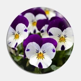 Three Pansies Pin