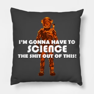 Overwhelming Odds Pillow