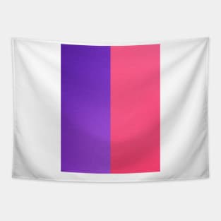 Two Tone Purple and Pink Tapestry