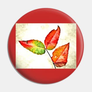 Leaves Colors Pin