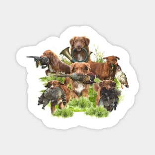 Nova Scotia Duck Tolling Retriever Magnet