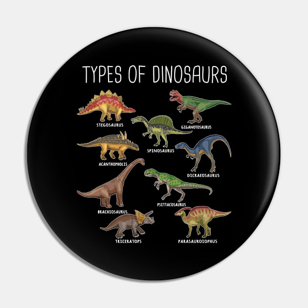 Kids Types Of Dinosaurs Dino Identification Gift Pin by TeddyTees