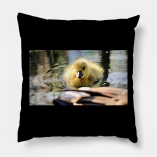 Smiling baby duck Pillow