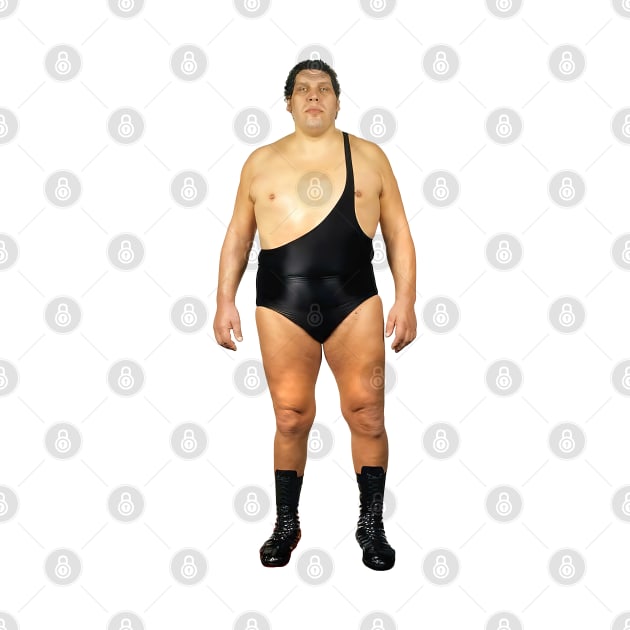 Andre The Giant by DankFutura