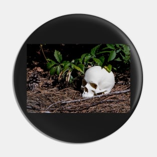 Poor Yorick Pin