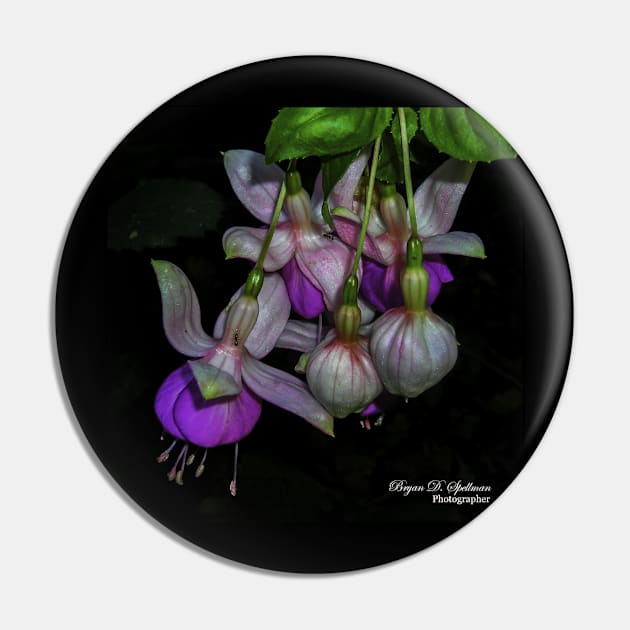 Fuchsia Cluster Pin by mtbearded1