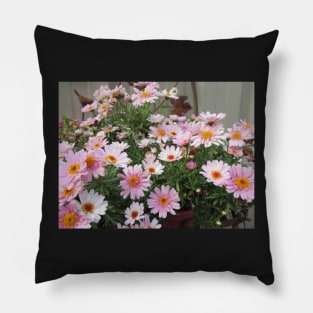 Argyranthemum - Honey Bees Summer Drops Pillow