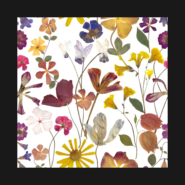 Pressed summer flowers seamless. Dry flowers composition. Romantic Spring blossom. Vibrant botanical print by likapix